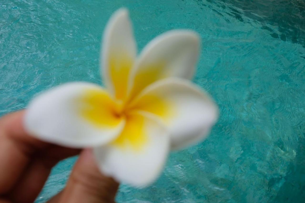 Avi Villa Nusa Dua (Bali)