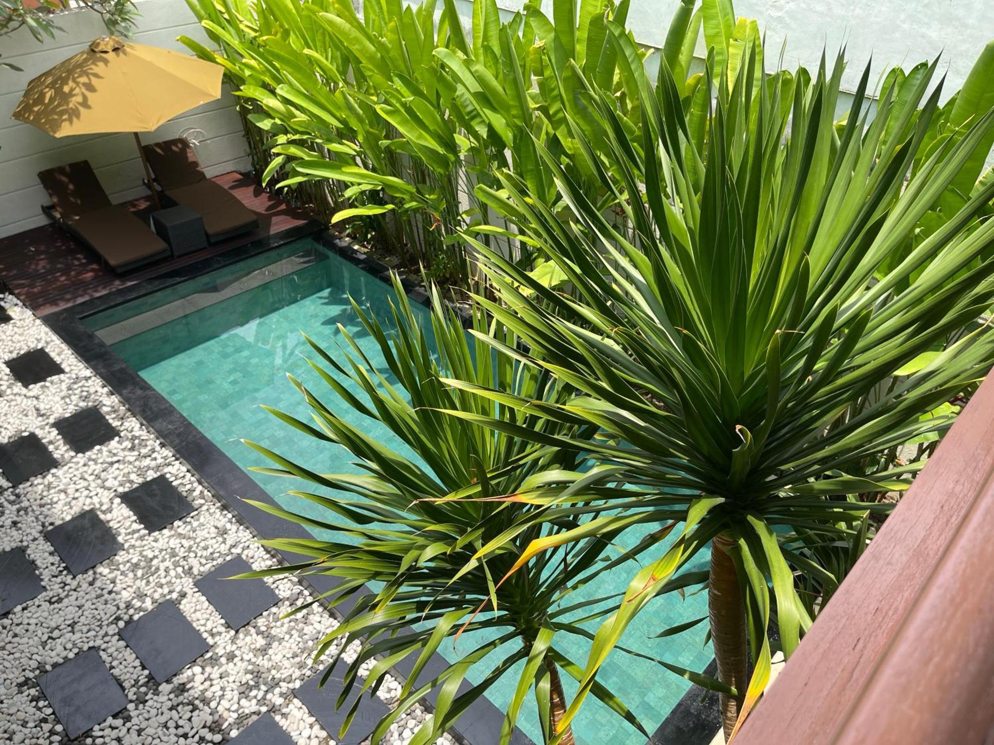 Avi Villa *